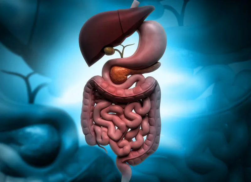 Subtle Changes Could Predict Inflammatory Bowel Disease Years Before ...